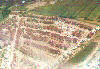 wijk 7-98